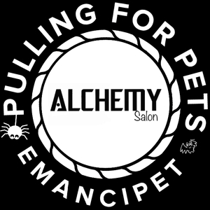 Team Page: Alchemy Salon